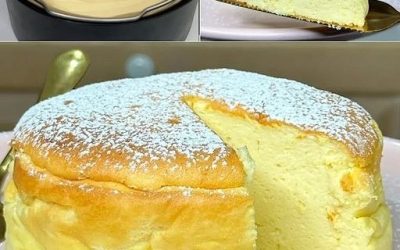 Japansk bomuldscheesecake