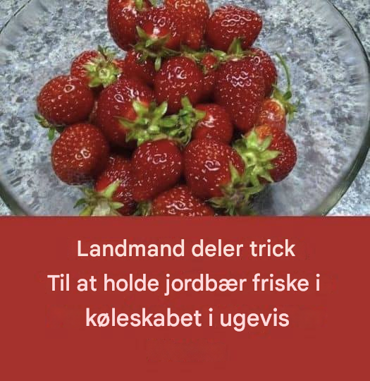 Sådan holder du dine jordbær friske i længere tid