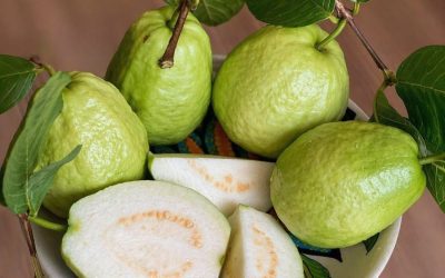 Læger afslører, at det at spise guava forårsager…