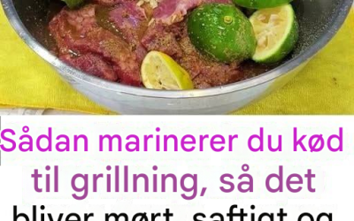 Sådan marinerer du kød til grillning, så det bliver mørt, saftigt og lækkert