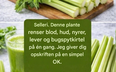 En juice til at rense lever og bugspytkirtel…