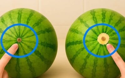 Vandmelon-tricket som supermarkederne ikke fortæller dig: Sådan genkender du den sødeste vandmelon uden at skære den op