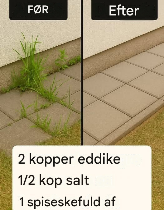 Sådan laver du et super effektivt hjemmelavet herbicid