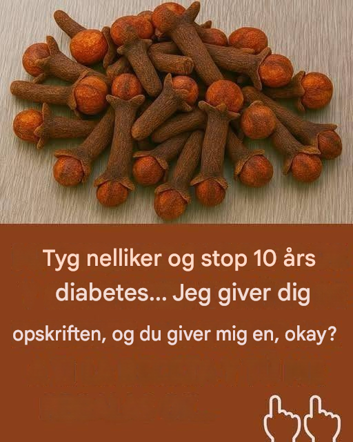 ²Tyg nelliker, det var hvad min læge sagde til mig, jeg vil være evigt taknemmelig.